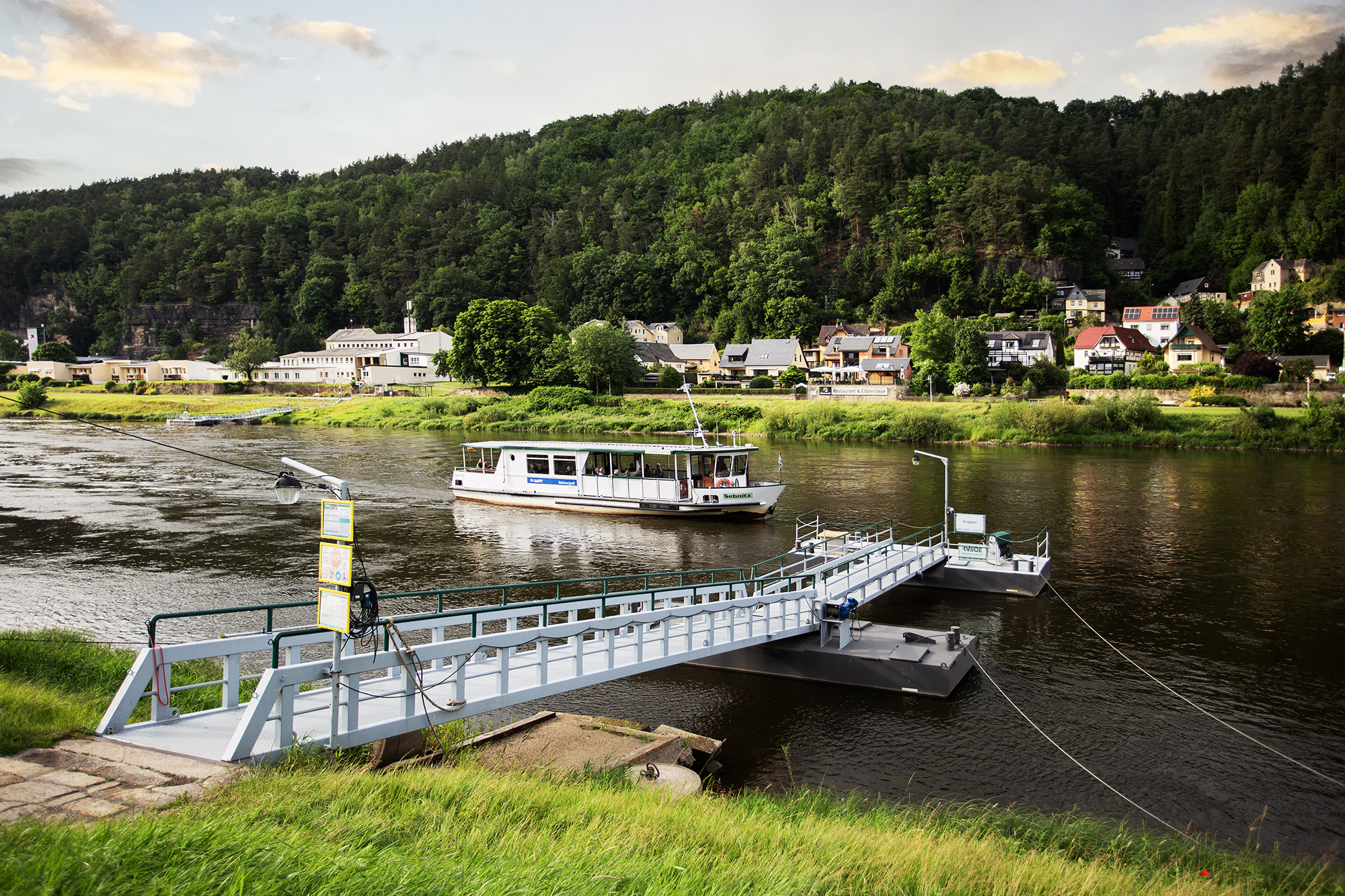 Fähre Krippen: Idyllische Bootsfahrt auf der Elbe nach Bad Schandau